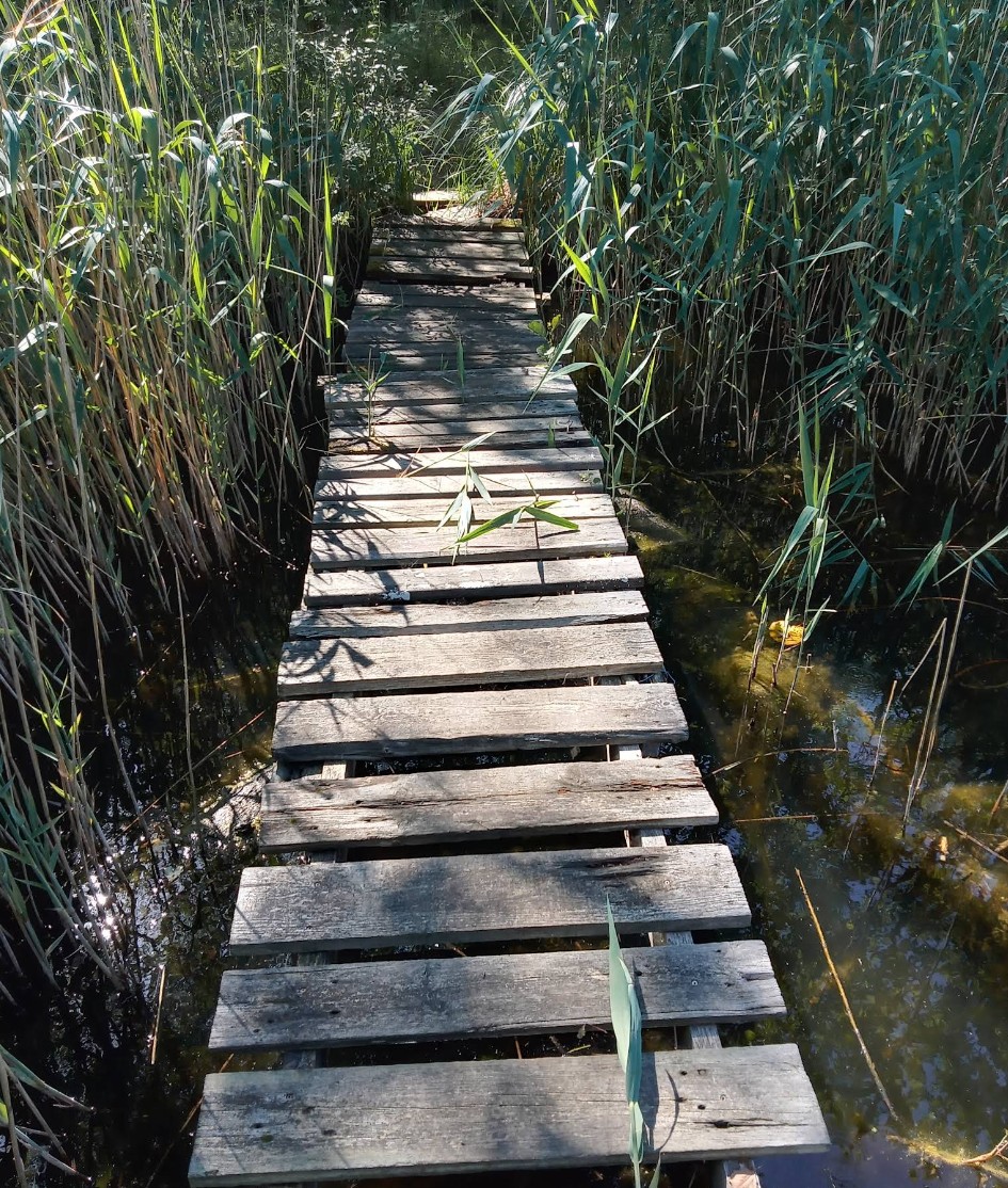 Sommerfelder Kiesgruben